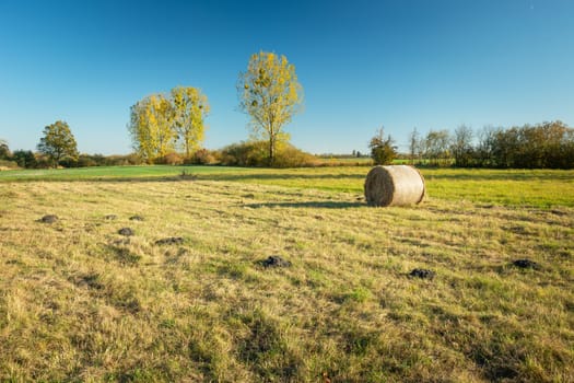 Hay for the meadow, autumn yellow trees and blue sky, October view