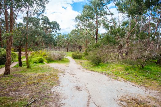 Mountain bike and walking trails in Plenty Gorge State Park in northern Melbourne in Victoria, Australia