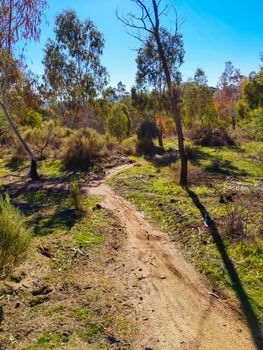 A warm day at La Larr Ba Gauwa Park mountain bike park in Harcourt, Victoria, Australia