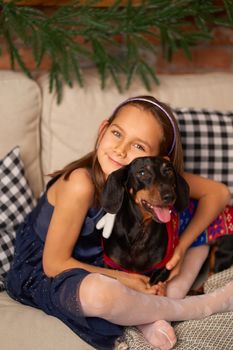 Happy childhood, Christmas magic fairy tale. A little girl is laughing with her friend, a dachshund dog, near the Christmas tree.