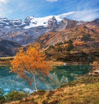 Beautiful pictures of  Switzerland