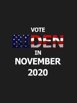 Vote Biden in 2020