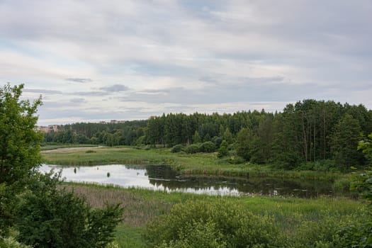 Forest lake. Pond among green trees. Summer landscape.