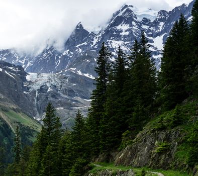 Beautiful pictures of  Switzerland