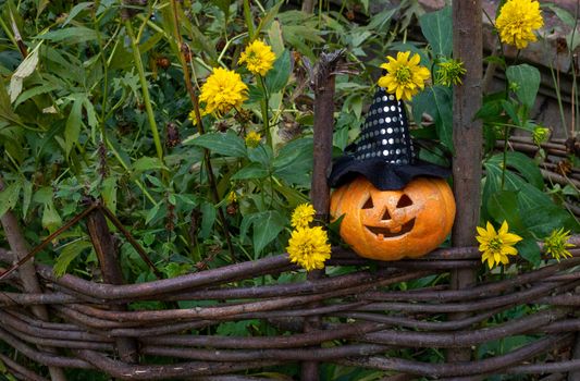 A cheerful pumpkin in a witch's hat is sitting on a fence among yellow flowers.The concept of Halloween.