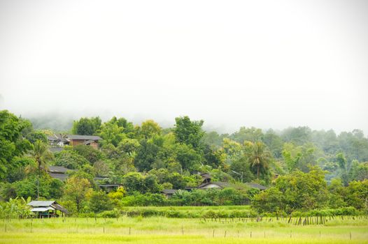 Rural villages of Thailand in the Asian zone and rice fields among the mountains and thick fog in the morning during the rainy season. The concept of people living with nature in perfect harmony.