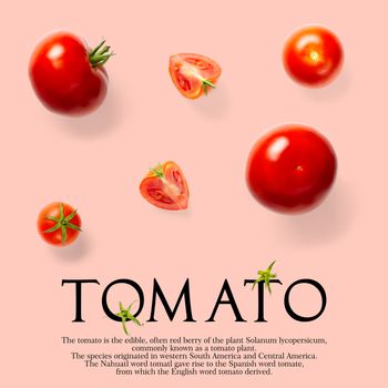 Creative layout made of tomato on the pink background. Creative flat lay set of tomatoes with simple text on white background, copy space. tomato theme decoration design or vegetarianism concept.