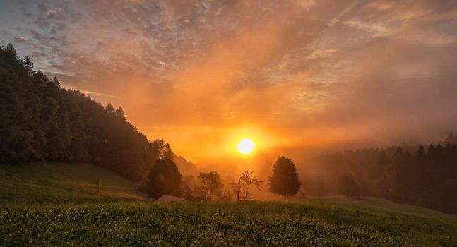 Beautiful pictures of  Switzerland