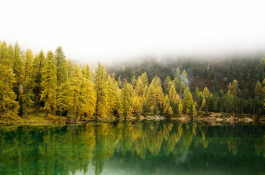 Beautiful pictures of  Switzerland
