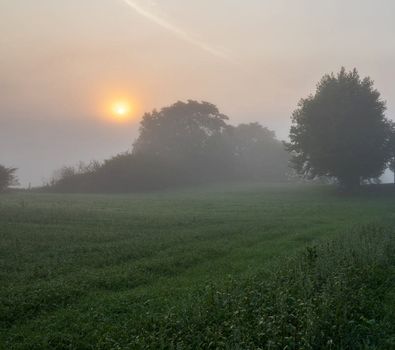 Beautiful pictures of  Switzerland