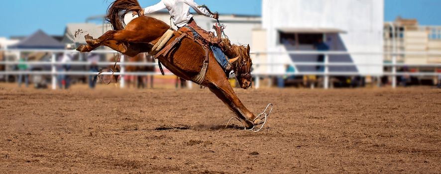 A cowboy riding a bucking bronco horse at an Australian country rodeo