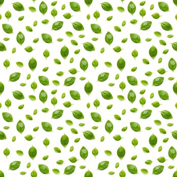 Italian Basil leaf herb seamless pattern on white background, Creative seamless pattern made from fresh green basil flat lay layout. Food ingredient seamless pattern.