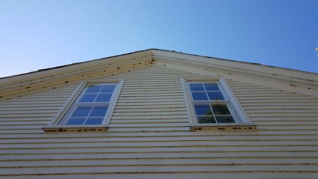 house or home siding with windows and mud wasp nests