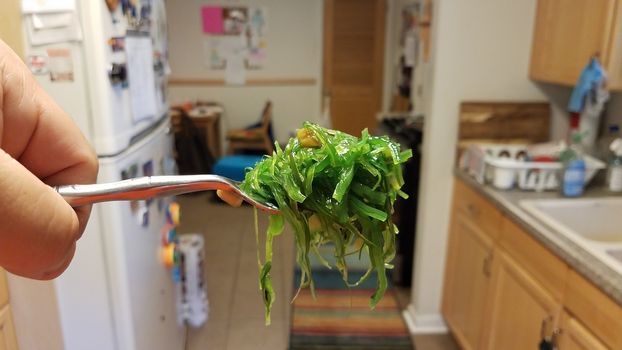 hand holding fork with gross green seaweed vegetable