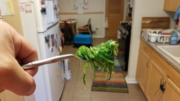 hand holding fork with gross green seaweed vegetable