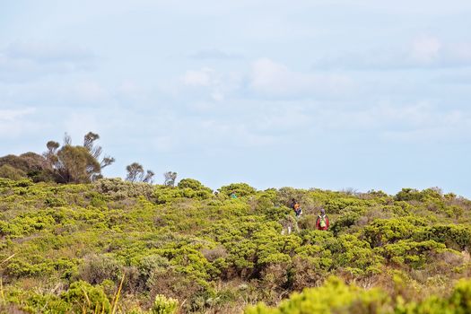 A couple bush walking in dense coastal vegetation on The Great Ocean Road Australia
