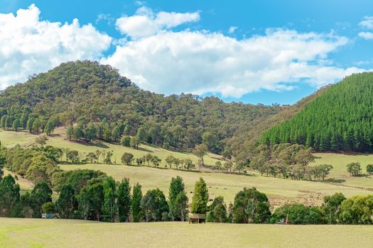 Road Trip - The rolling Australian countryside in rural New South Wales
