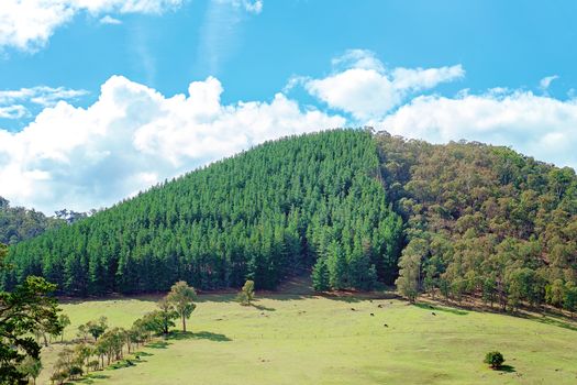 Road Trip - The rolling Australian countryside in rural New South Wales