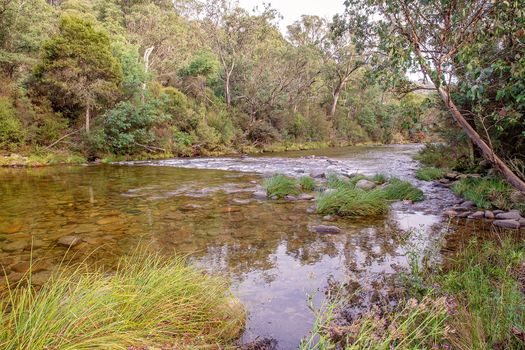 Road Trip - A creek filled with water where usually there is drought - good rainfall in the country