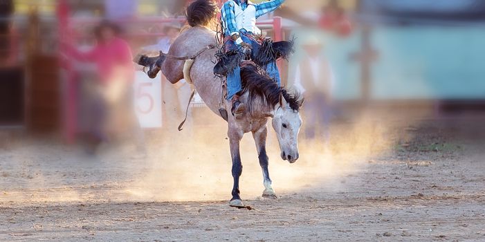 Bucking bronc horse riding competition entertainment at country rodeo