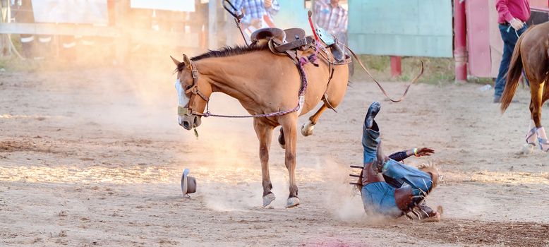 Bucking bronc horse riding competition entertainment at country rodeo
