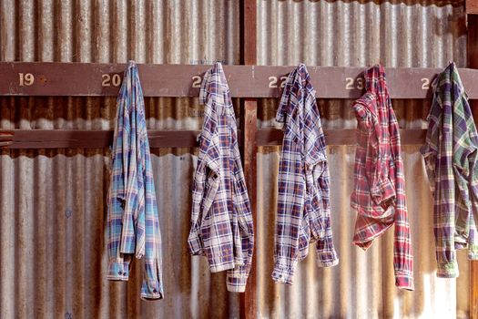 Flannel shirts worn by gold miners during the early gold rush days, hanging on hooks in an old shed