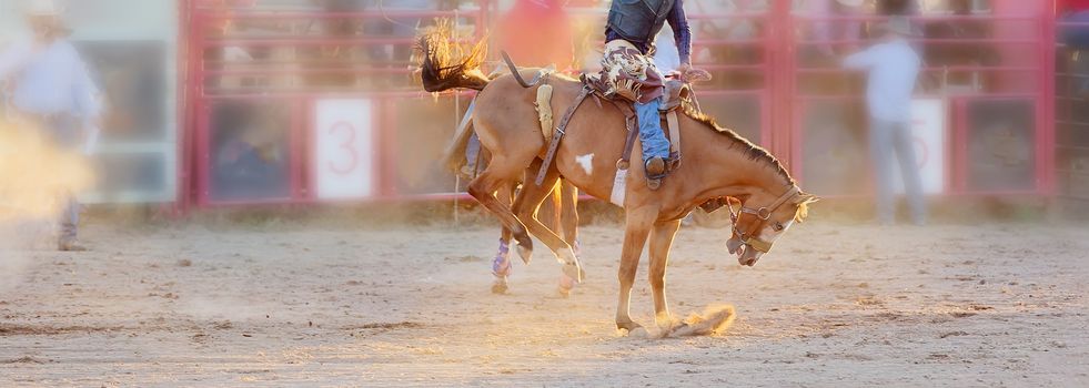 Bucking bronc horse riding competition entertainment at country rodeo