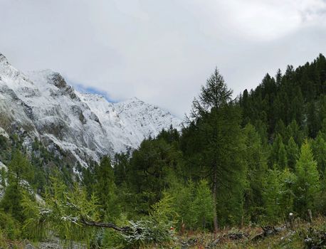 Beautiful pictures of  Switzerland