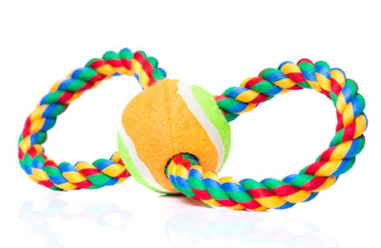 Dog toy - colorful cotton rope for games, isolated on white background with copy space