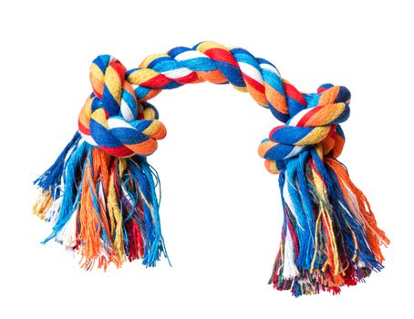 Dog toy - colorful cotton rope for games, isolated on white background with copy space