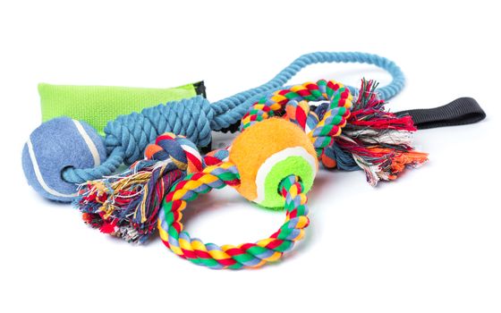 Dog toy - colorful cotton rope for games, isolated on white background with copy space