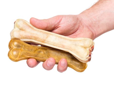 Male hand holding Dog chew bone food - pet accessories for eat, isolated on white background with copy space