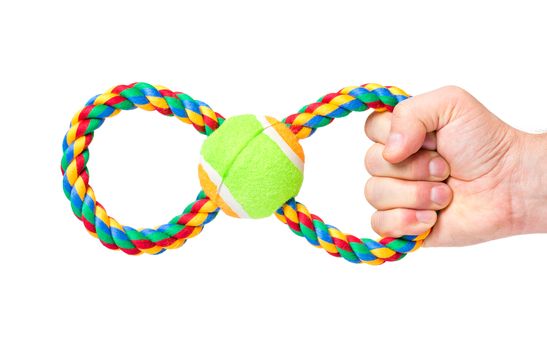 Hand holding Dog toy - pet accessories for games, isolated on white background with copy space