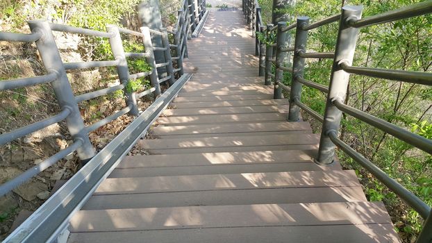 Wooden stairs with handrails on both sides in a park.