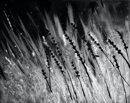 Abstract grass in the wind. Gray, black and white colours. Monochrome background.