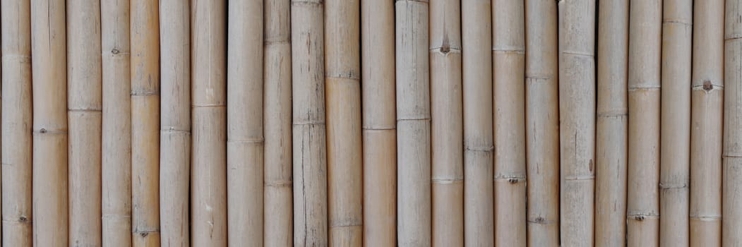 Dry brown bamboo banner pattern background. Dry bamboo background.