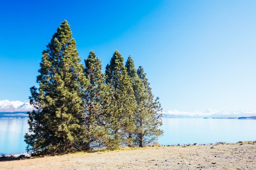 Mt Cook and Lake Pukaki on a crystal clear spring morning in New Zealand