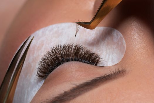 Eyelash Extension Procedure. Woman Eye with Long Eyelashes. Lashes. Close up tweezers, macro, selective focus