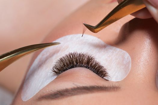 Eyelash Extension Procedure. Woman Eye with Long Eyelashes. Lashes. Close up tweezers, macro, selective focus