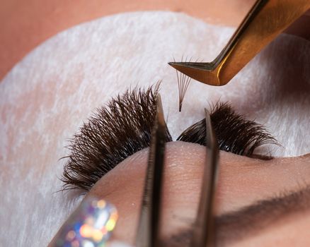 Eyelash Extension Procedure. Woman Eye with Long Eyelashes. Lashes. Close up tweezers, macro, selective focus