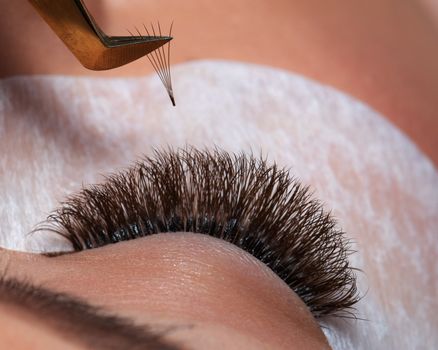 Eyelash Extension Procedure. Woman Eye with Long Eyelashes. Lashes. Close up tweezers, macro, selective focus