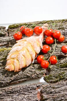 homemade Italian food: bread from durum wheat flour