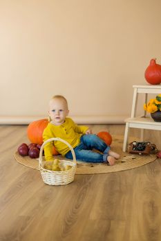 A little boy sits among pumpkins with a basket of ducklings.