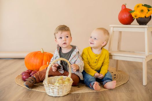 .Kids sit among pumpkins with a basket of ducklings