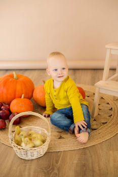 A little boy sits among pumpkins with a basket of ducklings.