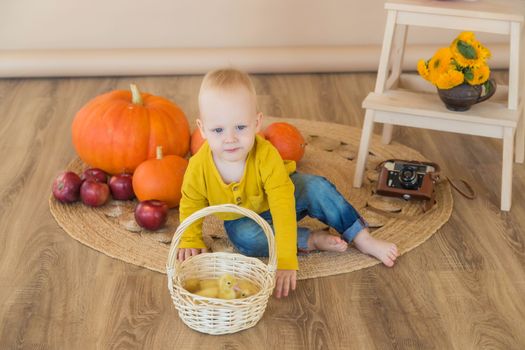 A little boy sits among pumpkins with a basket of ducklings.