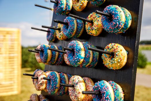 Assorted donuts on a wand. Dessert colorful snack.