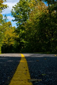 An asphalt-paved pathway curving through a wooded area in early fall is seen from a low angle, showing its yellow painted line.
