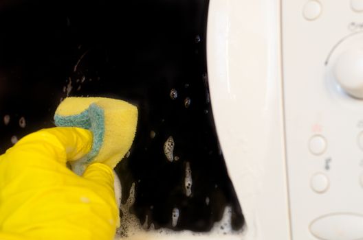 Microwave oven washing using a detergent solution with foam.Housework at kitchen.