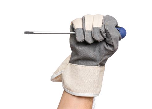 Male Hand wearing Working Glove with screwdriver. Human Hand holding tool, Isolated on White Background.